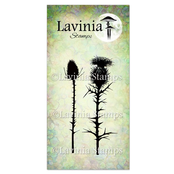 5296.jpg Lavinia Thistles LAV117