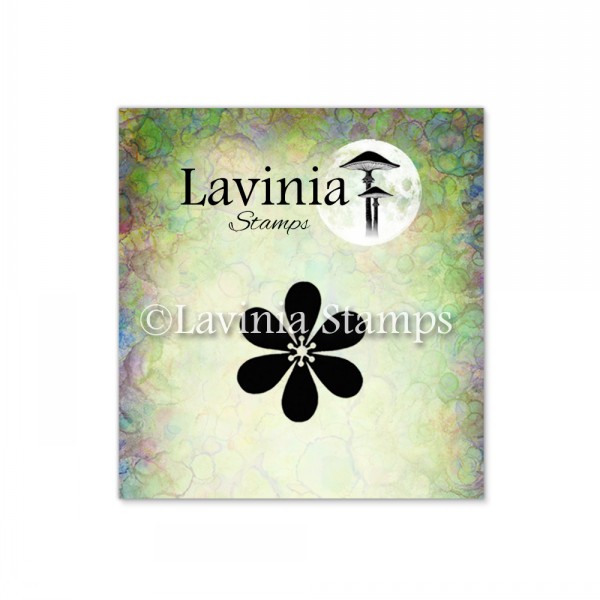 5300.jpg Lavinia Single Flower Miniature LAV214