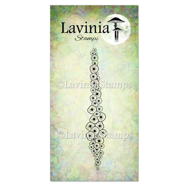 5301.jpg Lavinia Fairy Barnacle LAV423