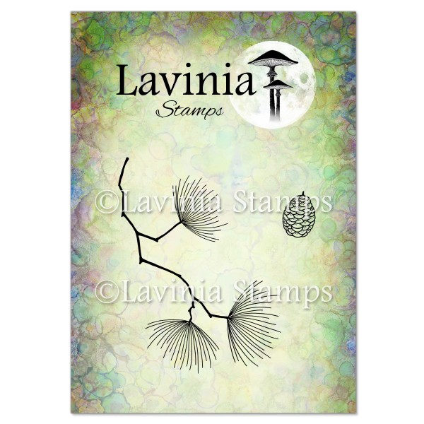 Lavinia Cedar LAV759