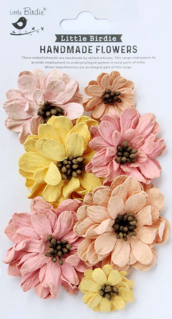 5672.jpg Little Birdie Galina Sunny Rose 7 Stk