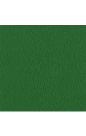 7011.jpg Bazzill Green