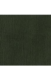 7061.jpg Bazzill Cinder