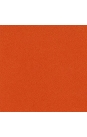 7183.jpg Bazzill Orange