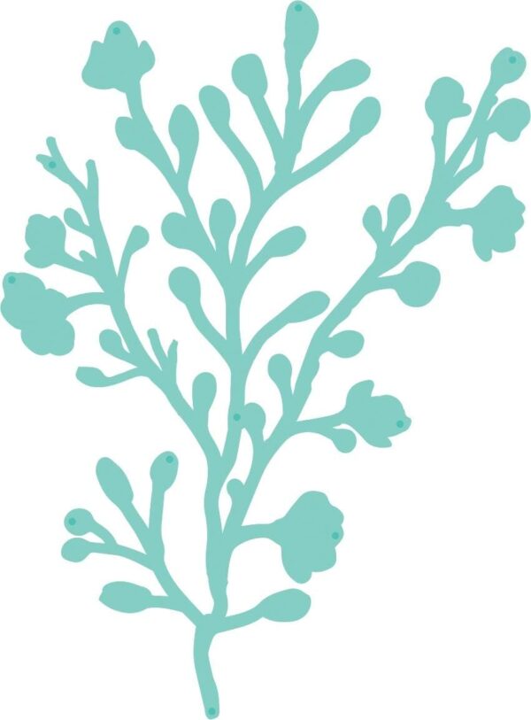Kaisercraft Dies - Floral Branch