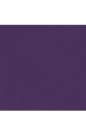 Bazzill Boysenberry Delight