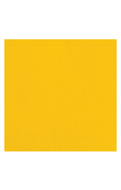 Bazzill Pineapple Bliss