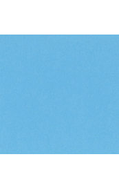 Bazzill Tropical Breeze