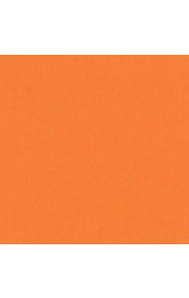 Bazzill Marmalade Blast