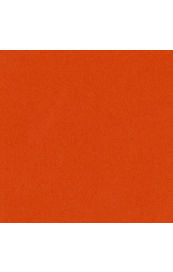 Bazzill Tangerine Blast