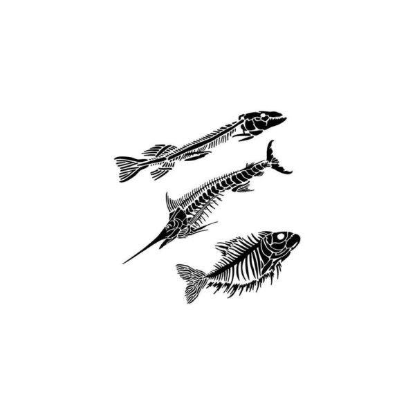7925.jpg Crafter's Workshop Stencil Fish Fossils