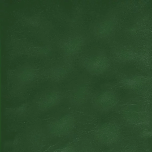 Pigmentfarge 4g Grønn - Bilde 2
