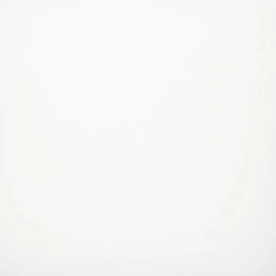 8339.jpg Pigmentfarge 4g Hvit opak