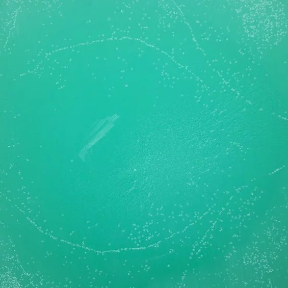 8342.jpg Pigmentfarge 4g Turkis