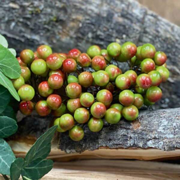 8820.jpg Bær - Grønn og Rød