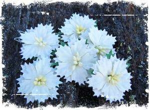 Papirdesign Julestjerner Hvite