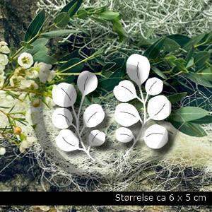 Papirdesign Eucalyptus Die