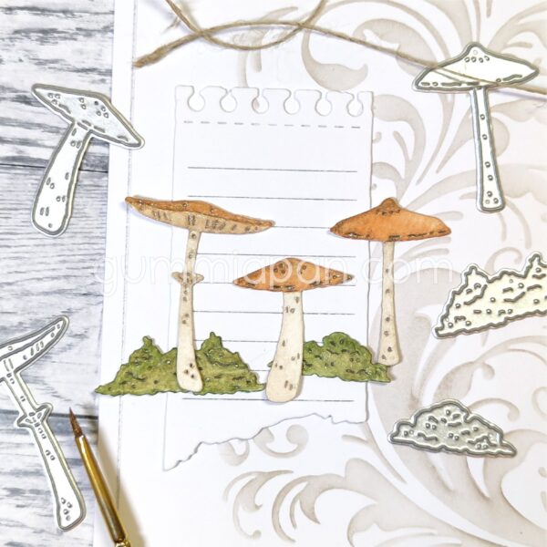 17598.jpg Gummiapan Dies Sopp og Mose