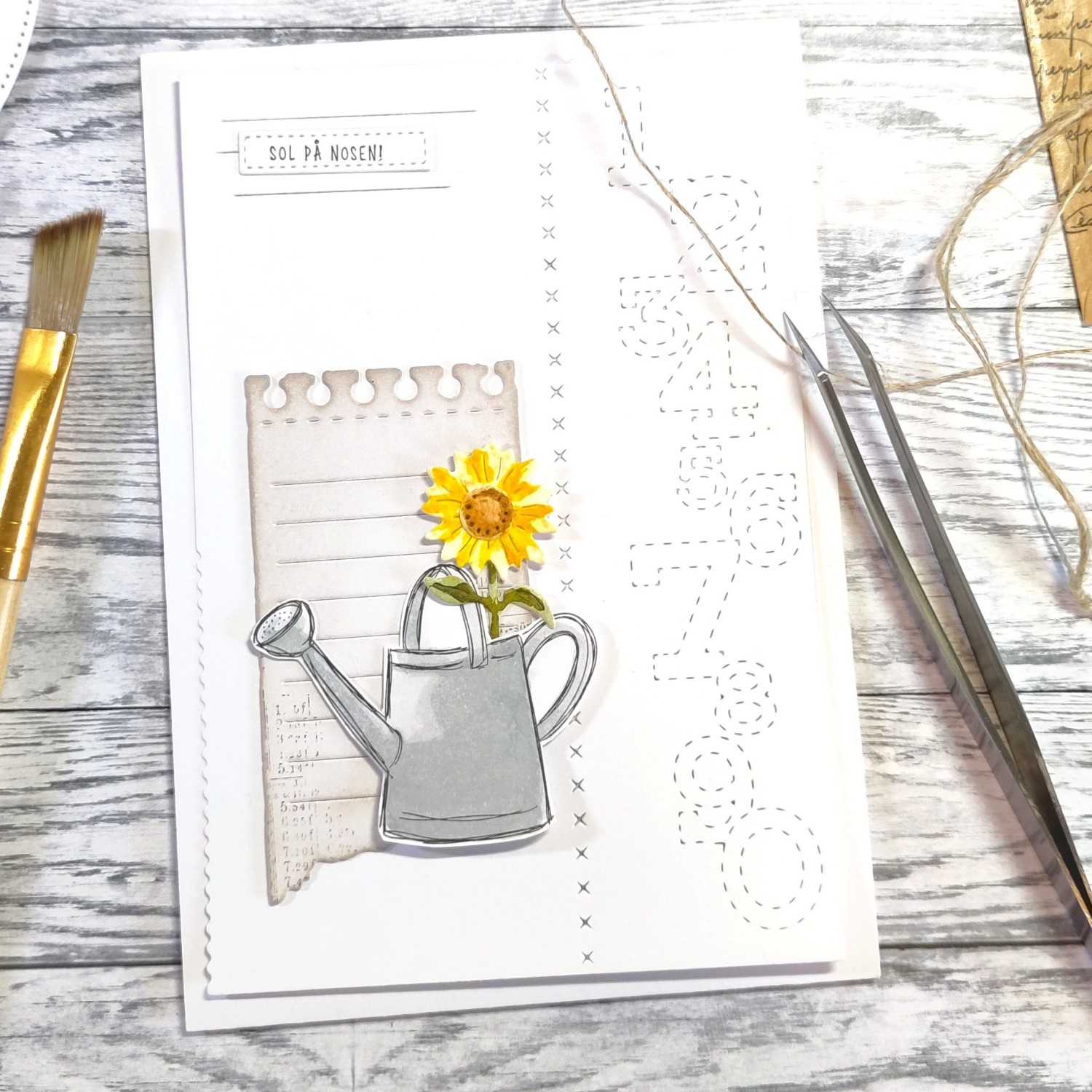 Gummiapan Dies Solsikke - Bilde 1