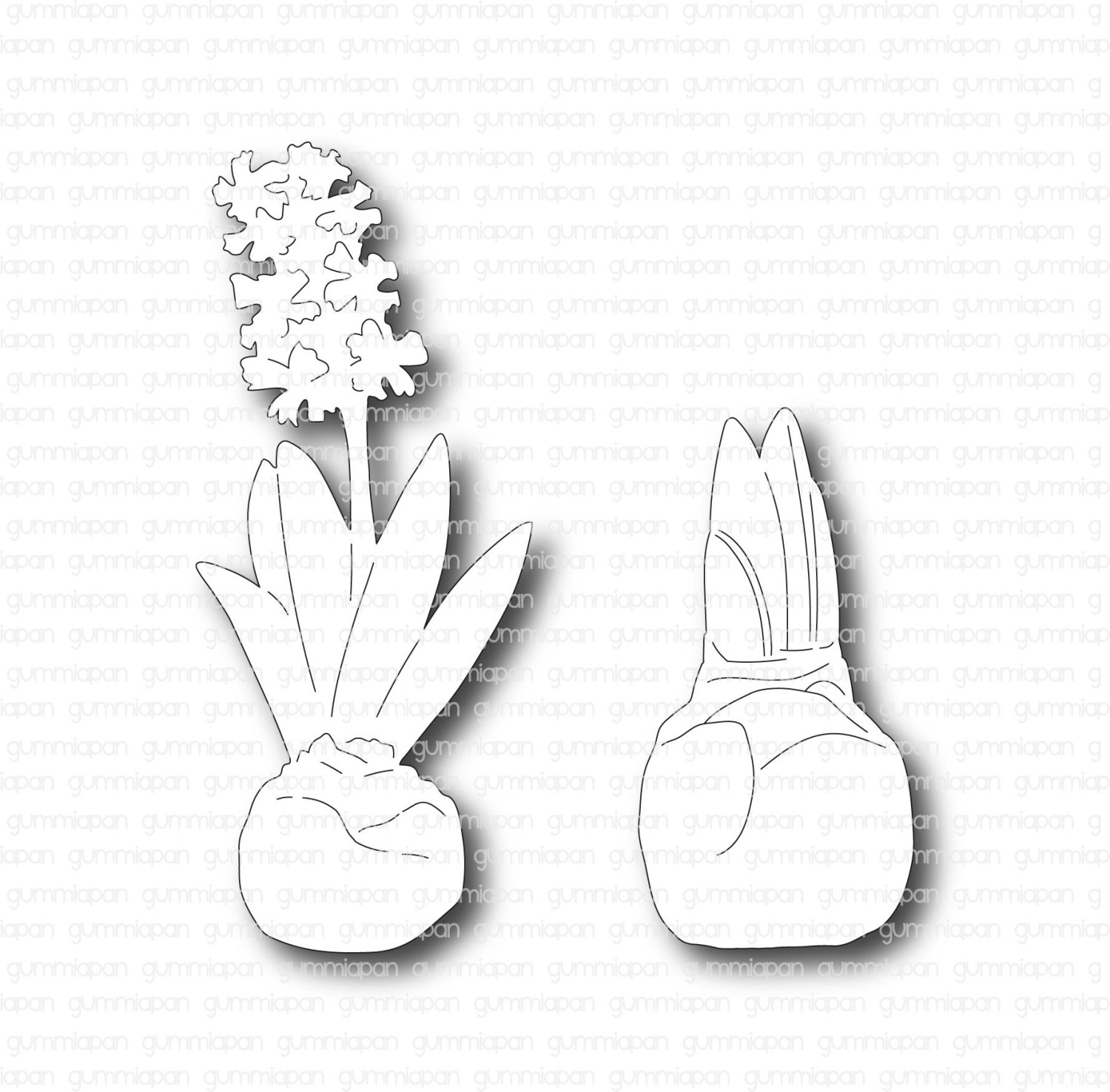 Gummiapan Dies Hyasinter - Bilde 1