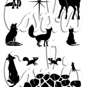 Card-io StarStruck  A6 - Bilde 1