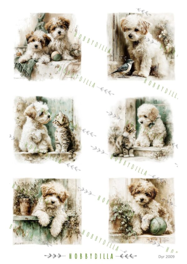 Motivark Dyr 2009 M Hund Havanese