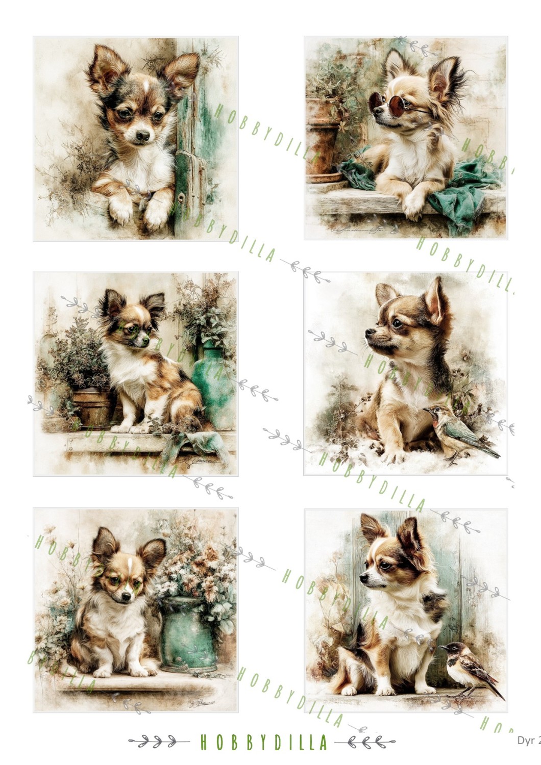 Motivark Dyr 2011 M Chihuahua - Bilde 1