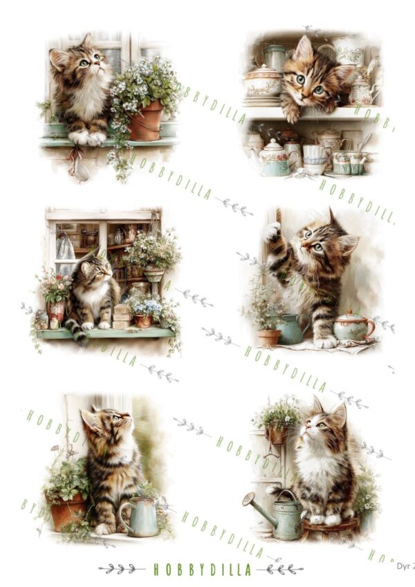 Motivark Dyr 2013 M Kattunger