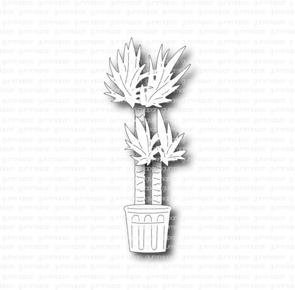 Gummiapan Die Yuccapalme