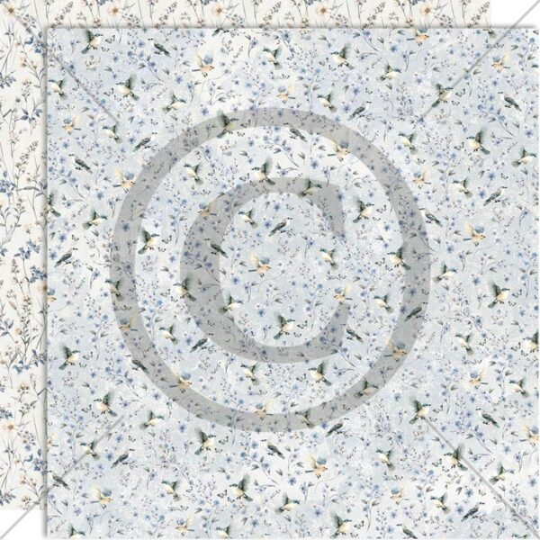 Papirdeign Fremtidsdrøm - Suser avgårde