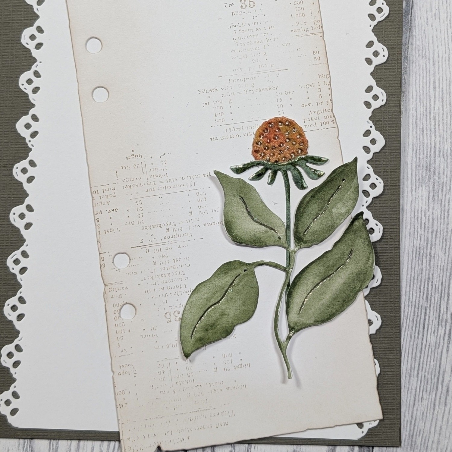 Gummiapan Liten Tistel - Bilde 2