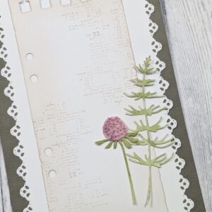 Gummiapan Liten Tistel - Bilde 3