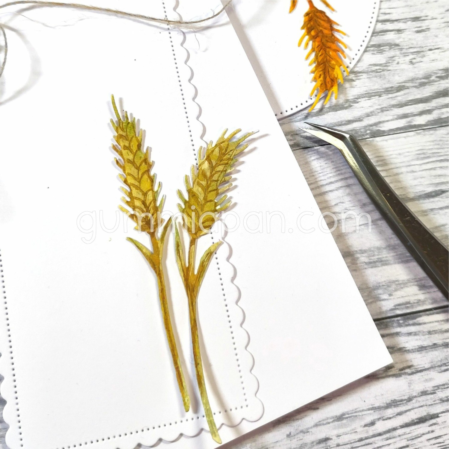 Gummiapan Dies Kornax - Bilde 1