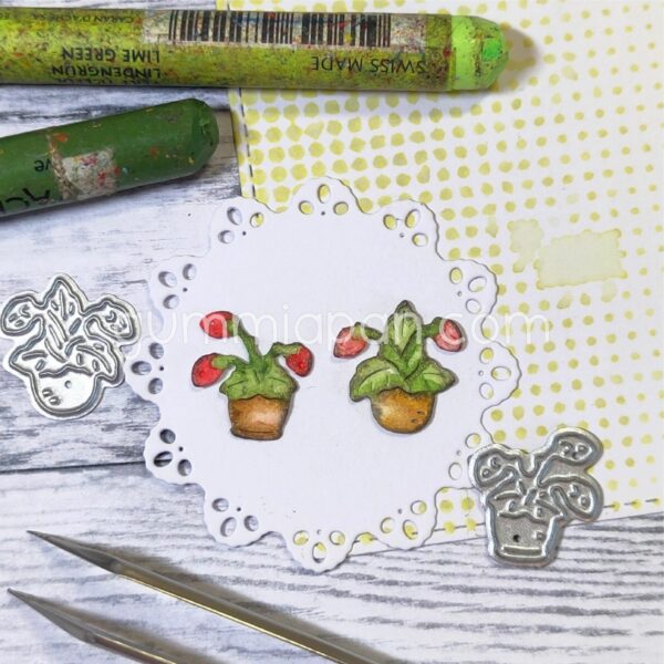 Gummiapan Die Bærplanter