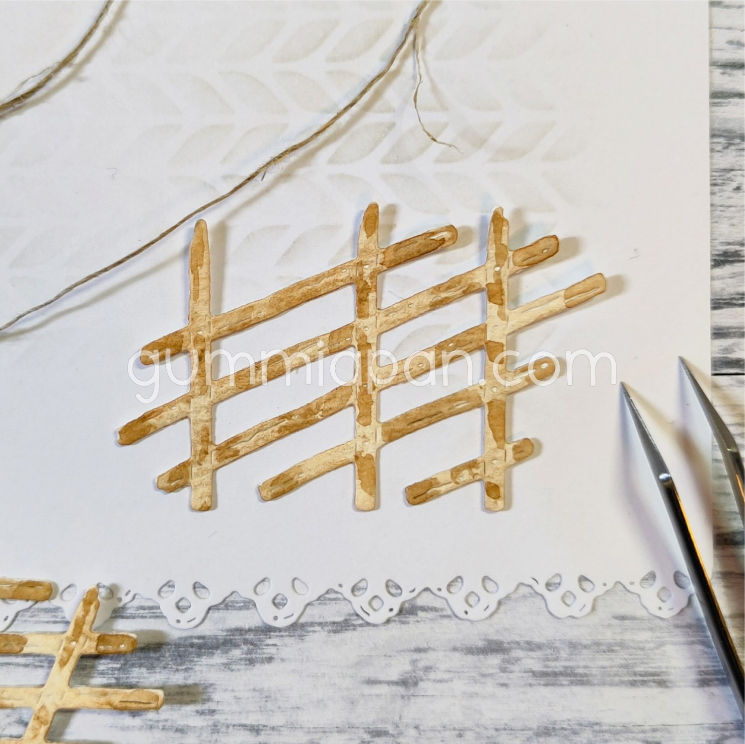 Gummiapan  Dies Skigard - Bilde 1