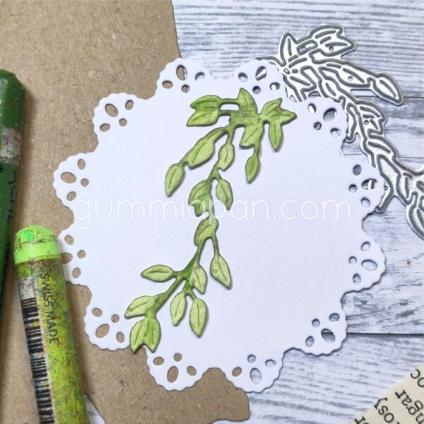 Gummiapan  Dies Klatreplante