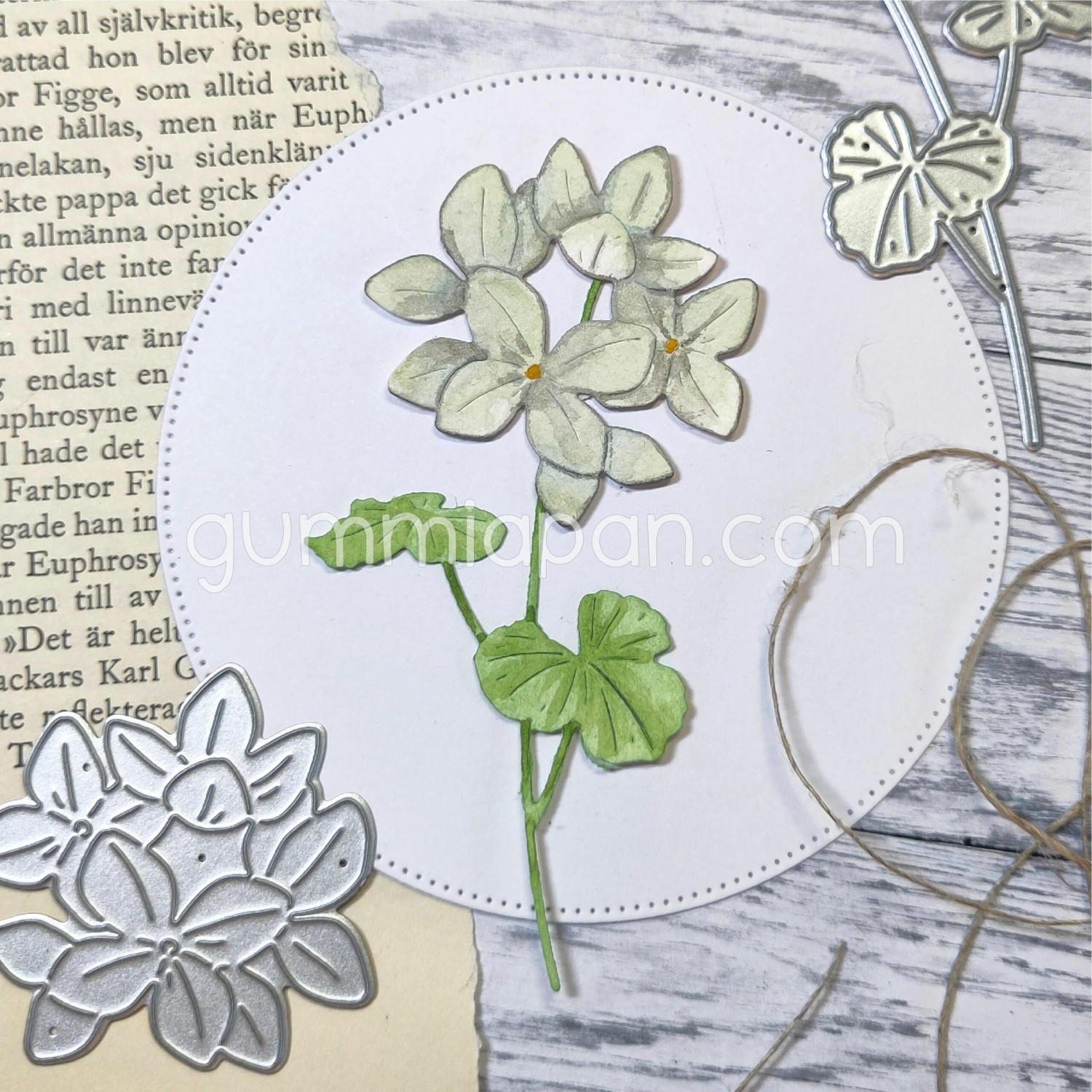 Gummiapan  Dies Pelargon - Bilde 1