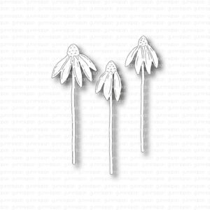 Gummiapan Solhatt blomster - Bilde 1