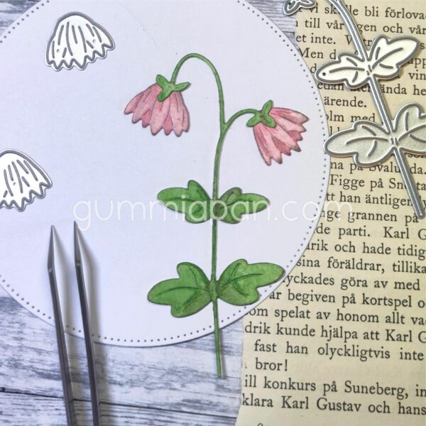 Gummiapan Dies Malva