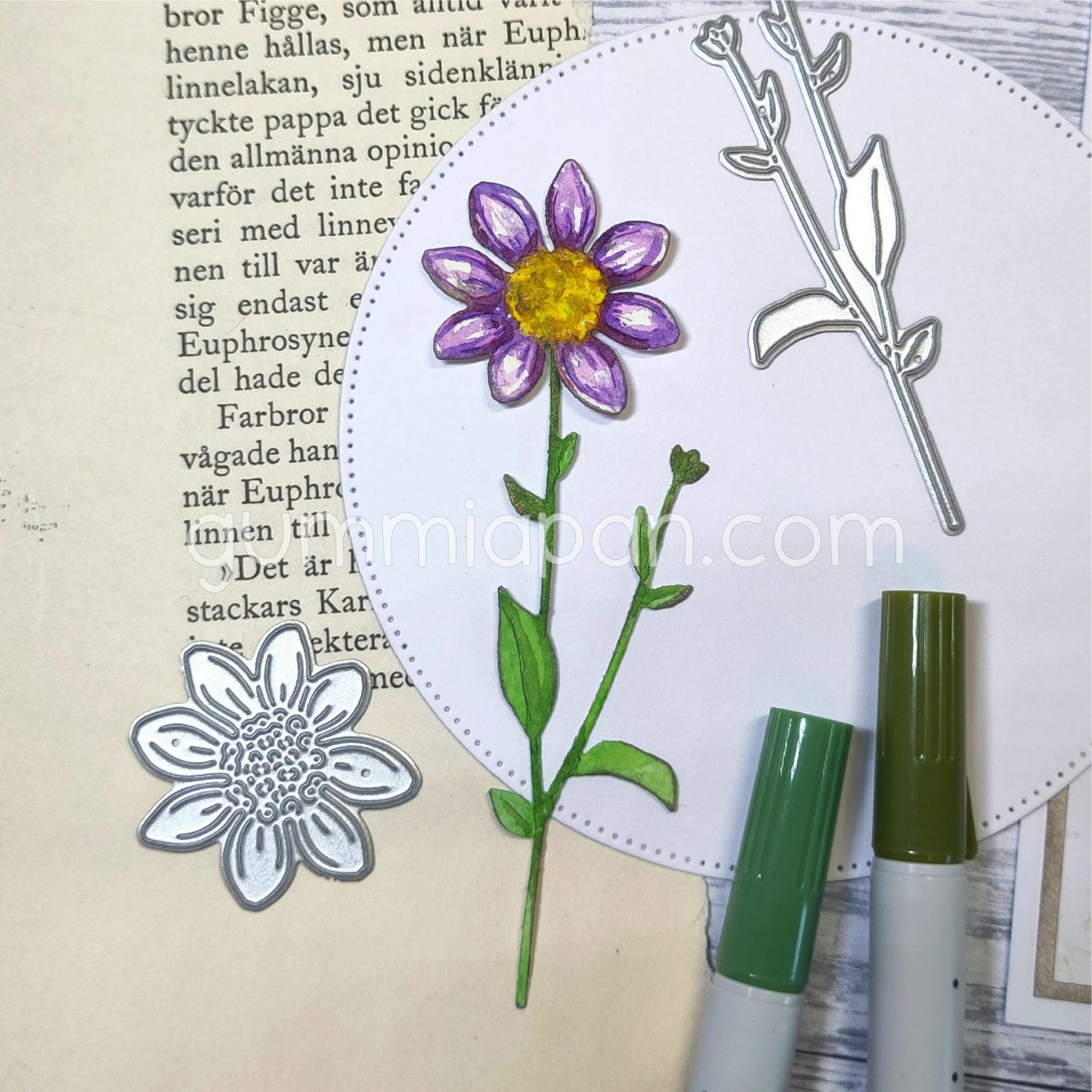 Gummiapan Dies Kosmos - Bilde 1