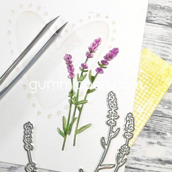 Gummiapan Dies Lavendel