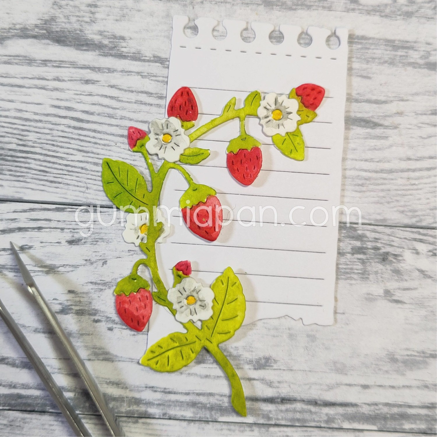 Gummiapan Dies Jordnærplante - Bilde 1