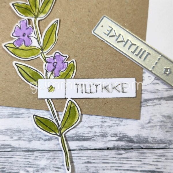 Gummiapan Dies Til Lykke