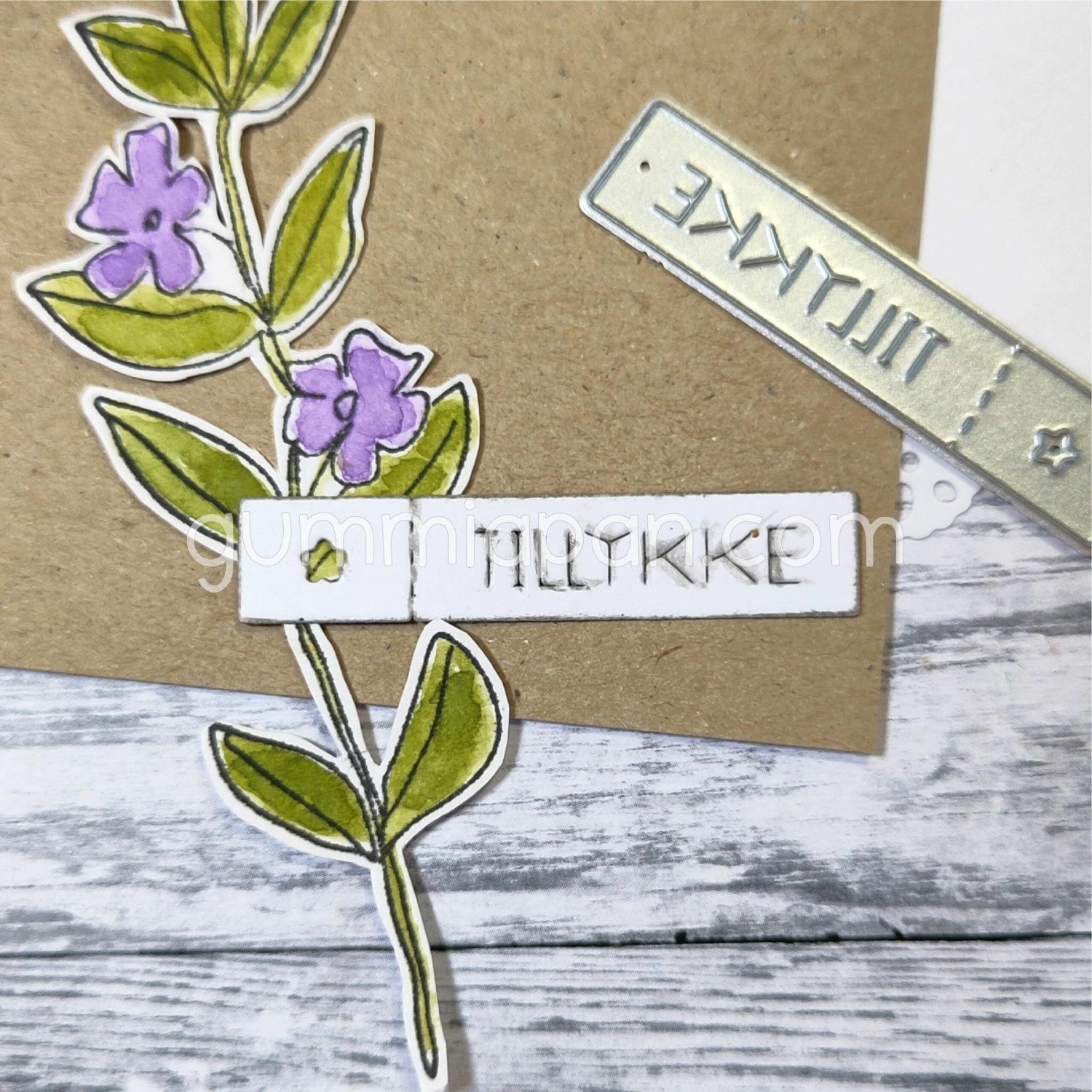 Gummiapan Dies Til Lykke - Bilde 1