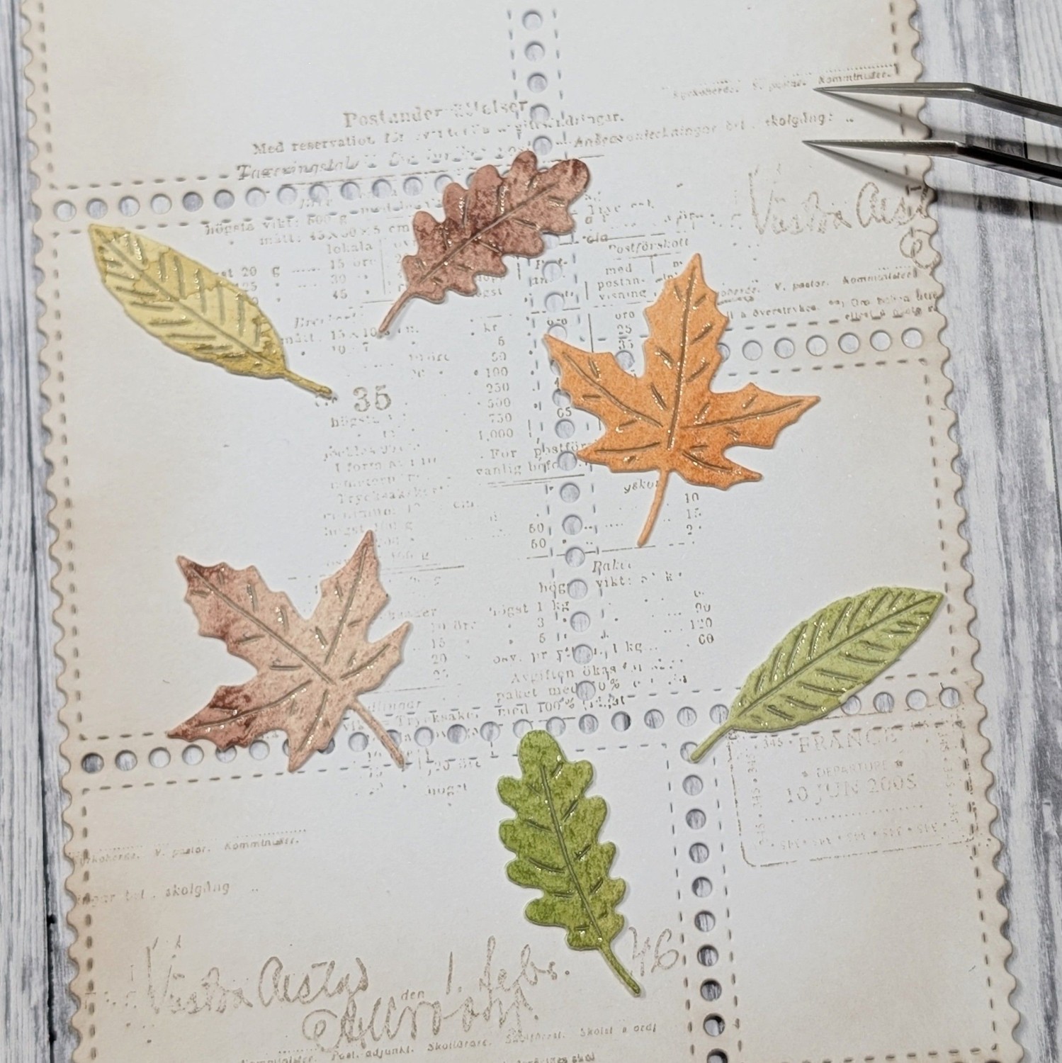 Gummiapan Dies 3 Små Løv - Bilde 1