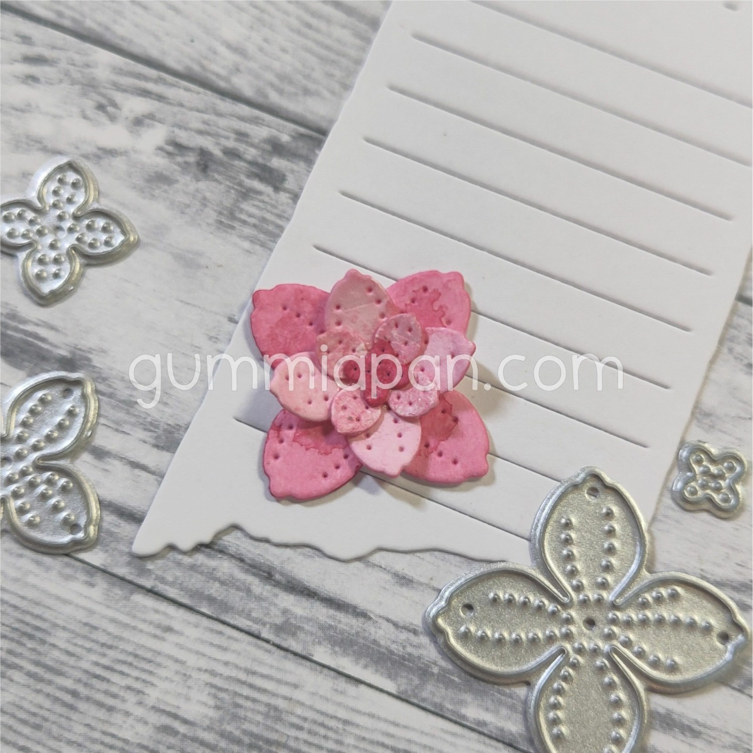 Gummiapan Dies  - Blomst - Bilde 1