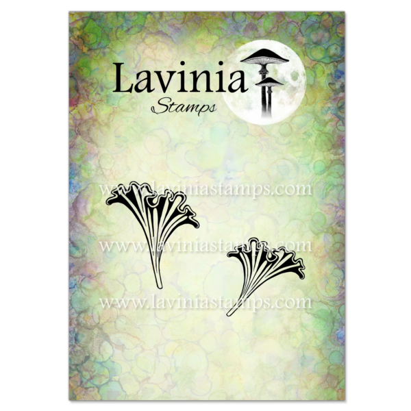 Lavinia Curlshade LAV1039