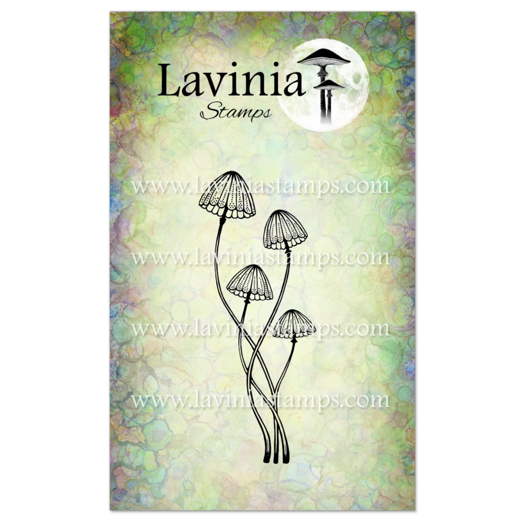 Lavinia Faedew LAV1042