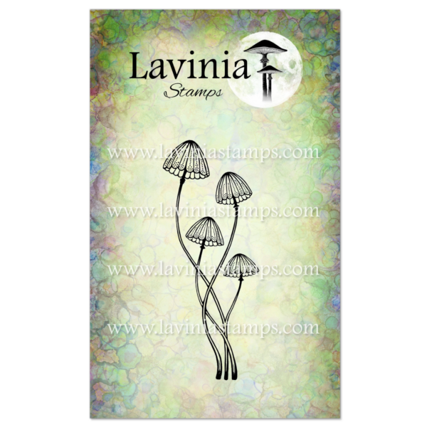 Lavinia Faedew LAV1042