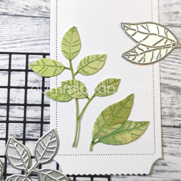 Gummiapan Dies Bladverk